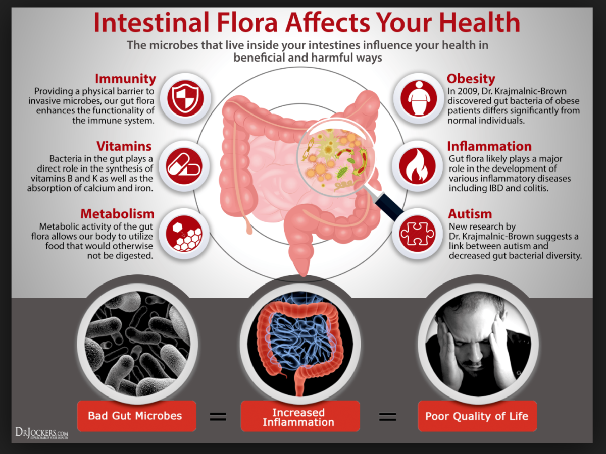 Gut microbiome weight loss plateau